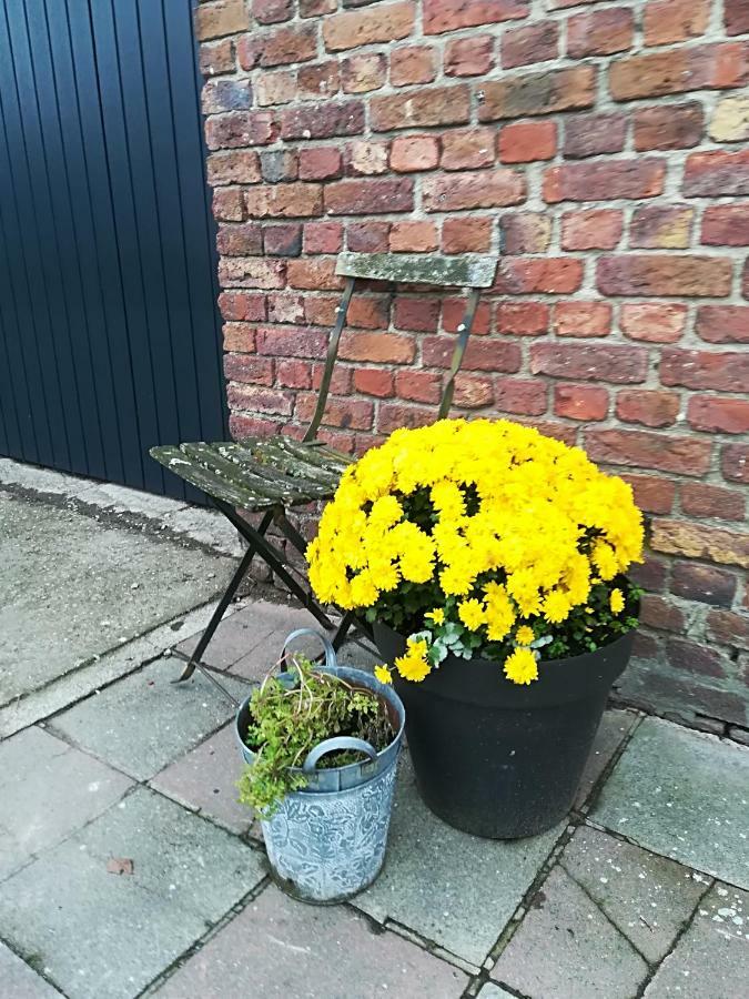 Gite Terre De Ciel Ferrières Eksteriør billede